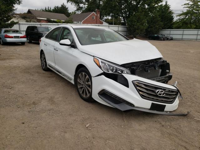 HYUNDAI SONATA SPO 2017 5npe34af4hh496538