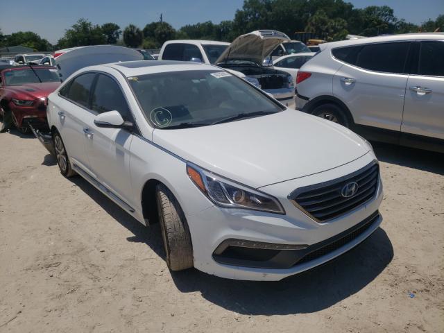 HYUNDAI SONATA SPO 2017 5npe34af4hh498533