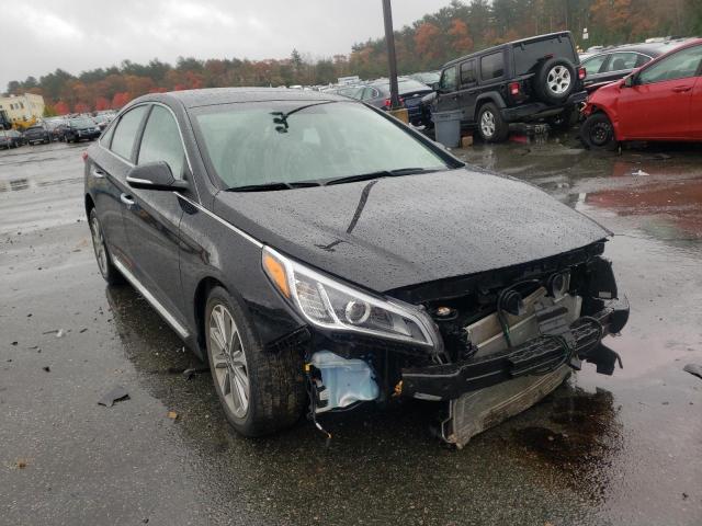 HYUNDAI SONATA SPO 2017 5npe34af4hh499827