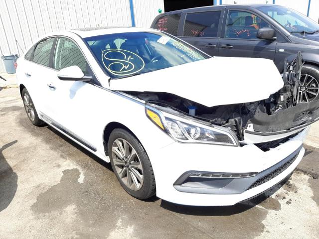 HYUNDAI SONATA SPO 2017 5npe34af4hh534429