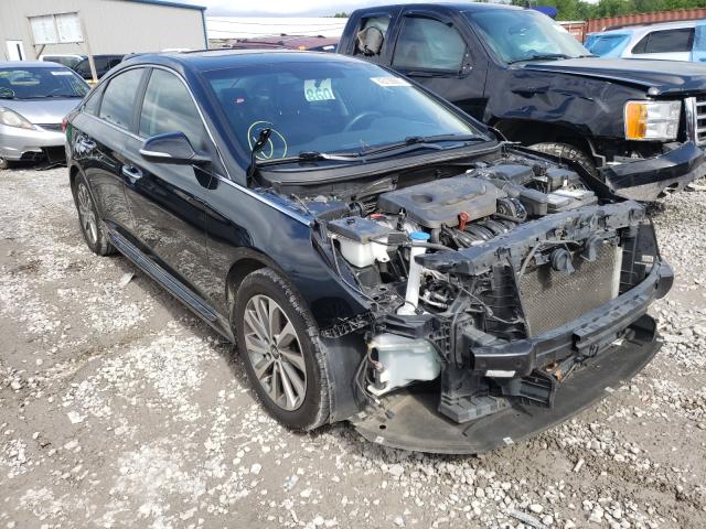 HYUNDAI SONATA SPO 2017 5npe34af4hh543454