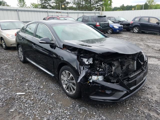 HYUNDAI SONATA SPO 2017 5npe34af4hh545298