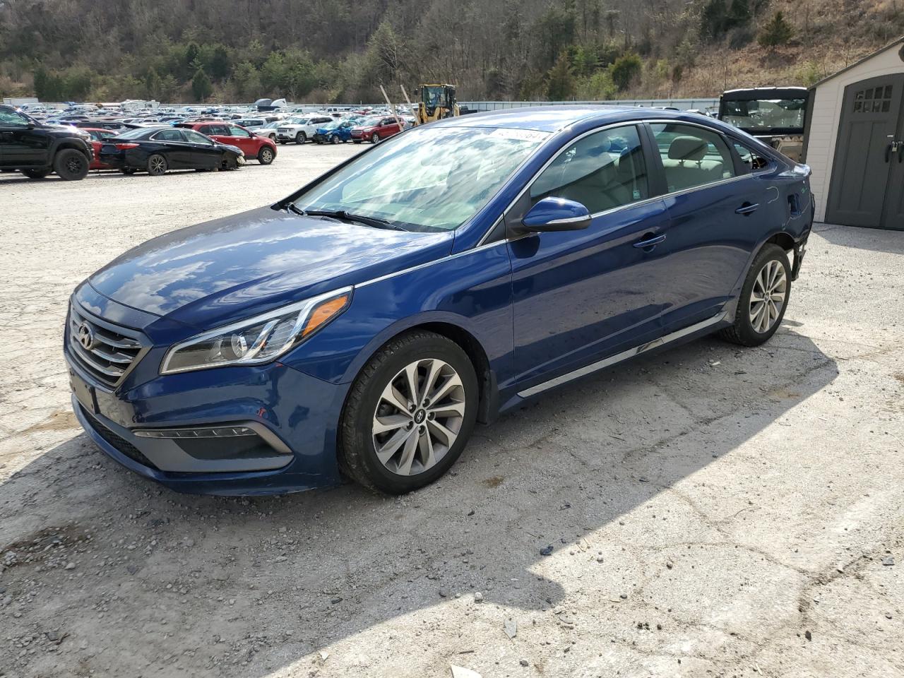 HYUNDAI SONATA SPO 2017 5npe34af4hh554230