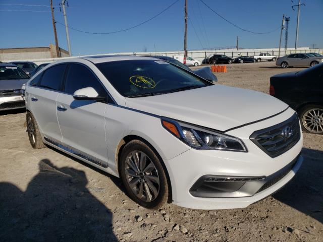 HYUNDAI SONATA SPO 2017 5npe34af4hh557533