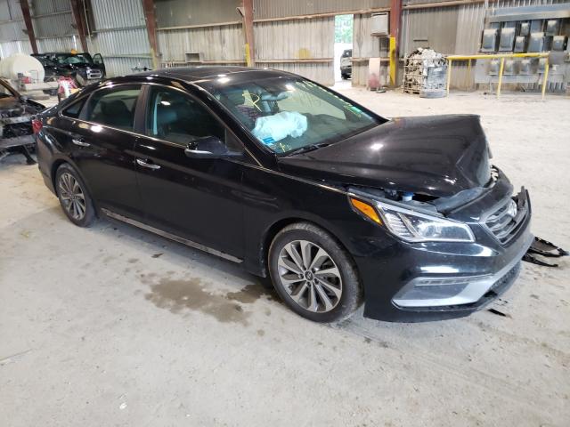 HYUNDAI SONATA SPO 2017 5npe34af4hh586093