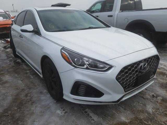 HYUNDAI SONATA SPO 2018 5npe34af4jh602461