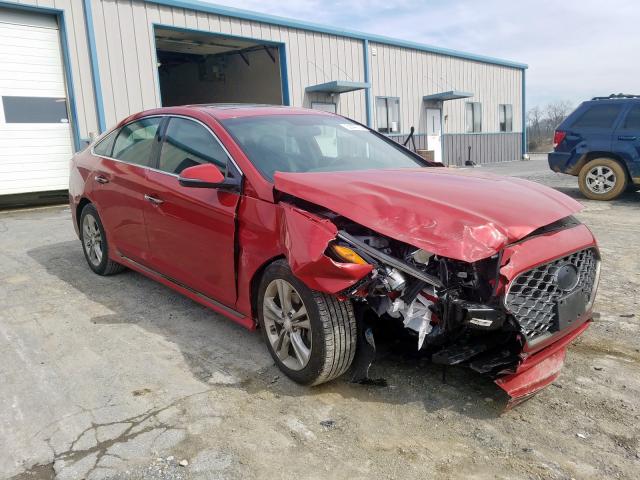 HYUNDAI SONATA SPO 2018 5npe34af4jh641552