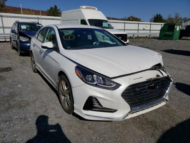 HYUNDAI SONATA SPO 2018 5npe34af4jh646167