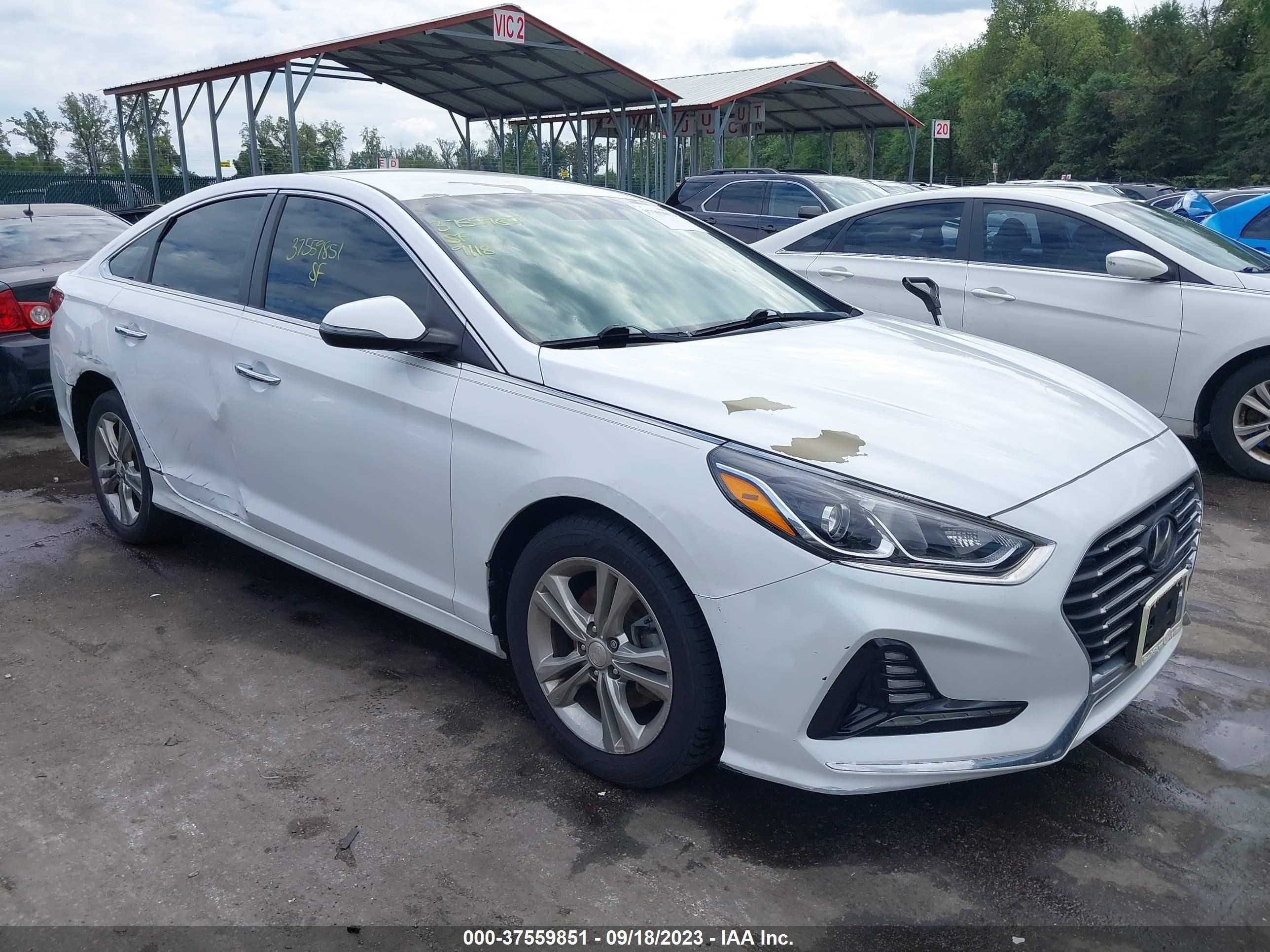 HYUNDAI SONATA 2018 5npe34af4jh687883