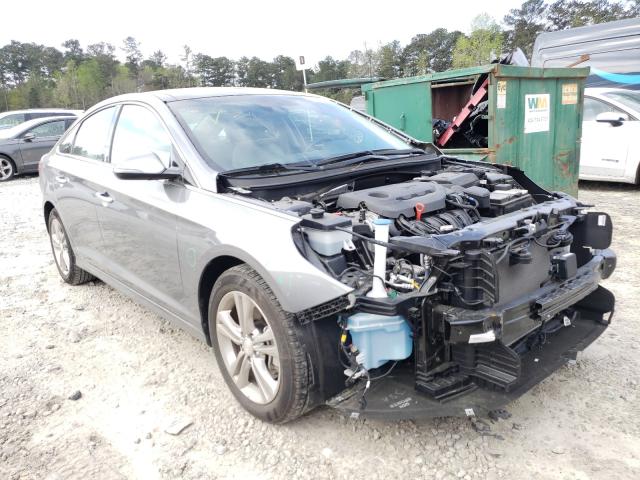 HYUNDAI SONATA SPO 2018 5npe34af4jh703256