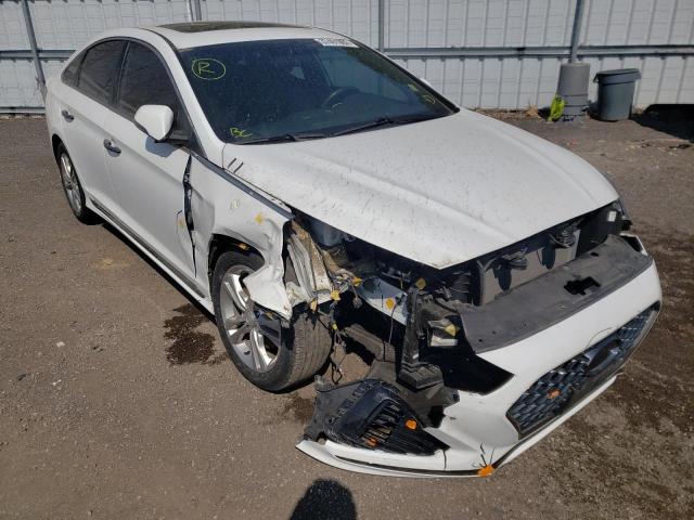 HYUNDAI SONATA SPO 2018 5npe34af4jh706772