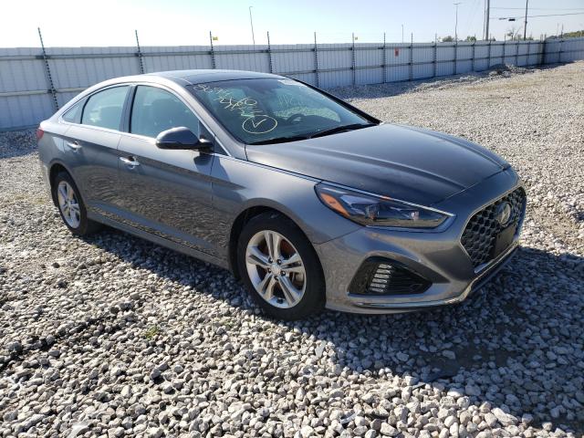 HYUNDAI SONATA SPO 2018 5npe34af4jh724849