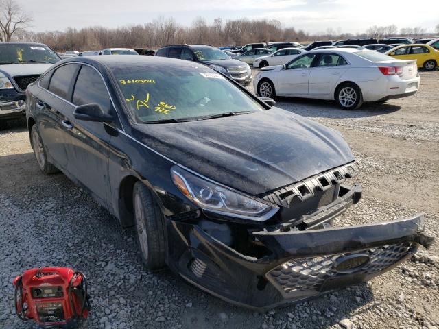 HYUNDAI SONATA LIM 2019 5npe34af4kh731947