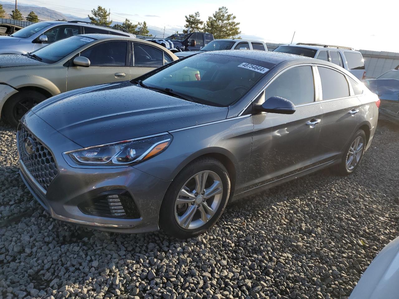 HYUNDAI SONATA 2019 5npe34af4kh746447