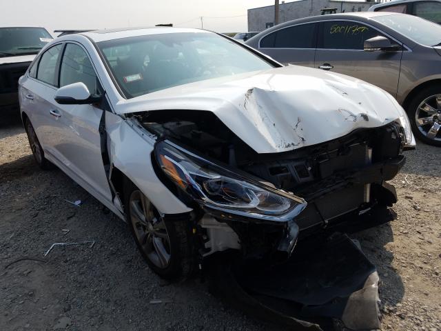 HYUNDAI SONATA LIM 2019 5npe34af4kh754743