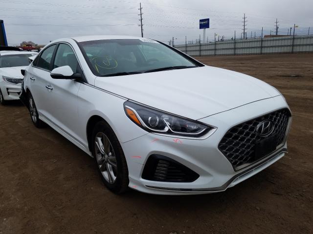 HYUNDAI SONATA LIM 2019 5npe34af4kh763295