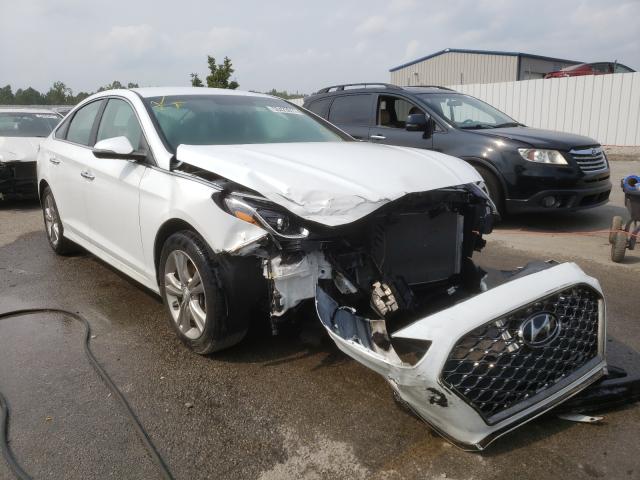 HYUNDAI SONATA LIM 2019 5npe34af4kh772000