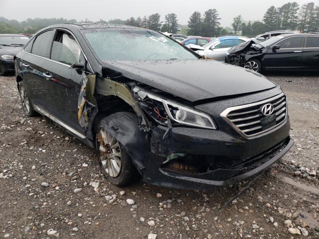 HYUNDAI SONATA SPO 2015 5npe34af5fh009943