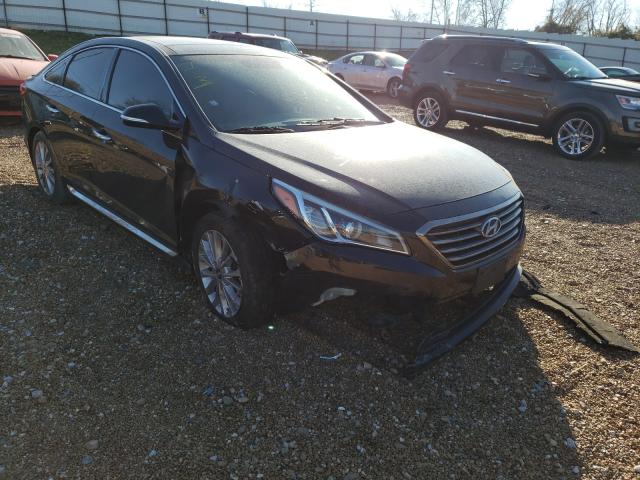 HYUNDAI SONATA SPO 2015 5npe34af5fh024085