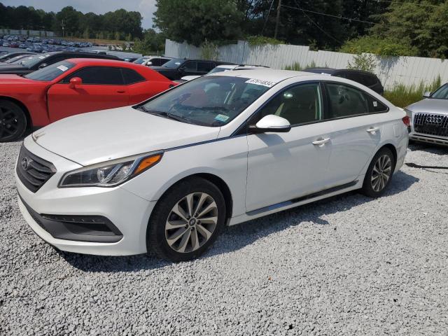 HYUNDAI SONATA SPO 2015 5npe34af5fh026810