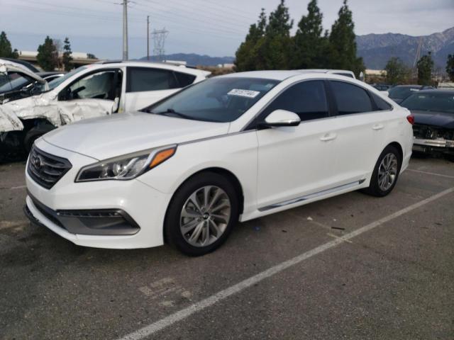 HYUNDAI SONATA SPO 2015 5npe34af5fh028928