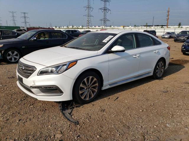 HYUNDAI SONATA SPO 2015 5npe34af5fh042814