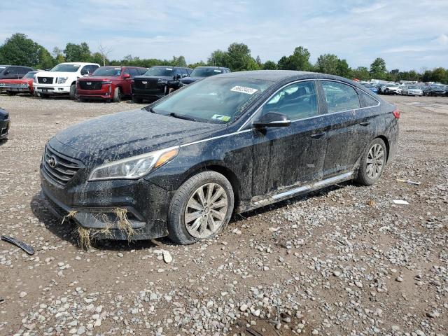 HYUNDAI SONATA SPO 2015 5npe34af5fh043543