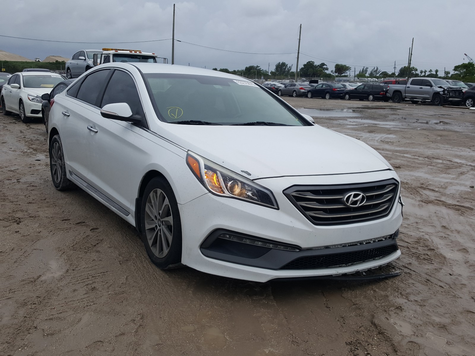 HYUNDAI SONATA SPO 2015 5npe34af5fh043719