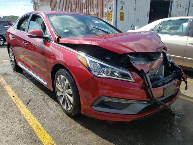 HYUNDAI SONATA SPO 2015 5npe34af5fh044434