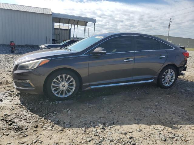 HYUNDAI SONATA SPO 2015 5npe34af5fh061198