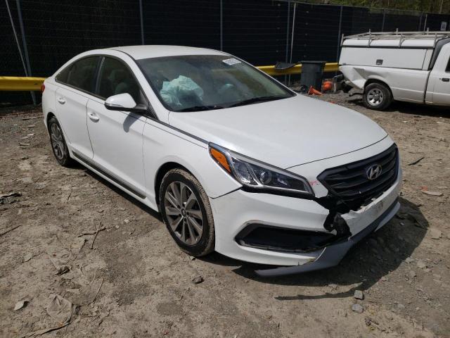 HYUNDAI SONATA SPO 2015 5npe34af5fh067552