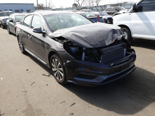 HYUNDAI SONATA SPO 2015 5npe34af5fh097392