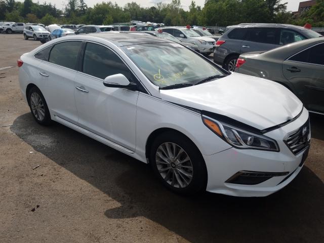 HYUNDAI SONATA SPO 2015 5npe34af5fh107029