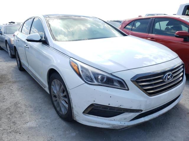 HYUNDAI SONATA SPO 2015 5npe34af5fh115454