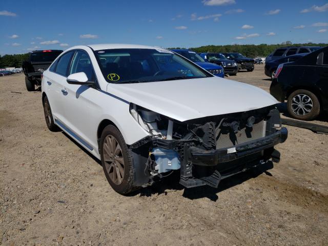 HYUNDAI SONATA SPO 2015 5npe34af5fh121139