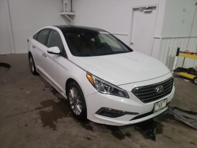 HYUNDAI SONATA SPO 2015 5npe34af5fh129175