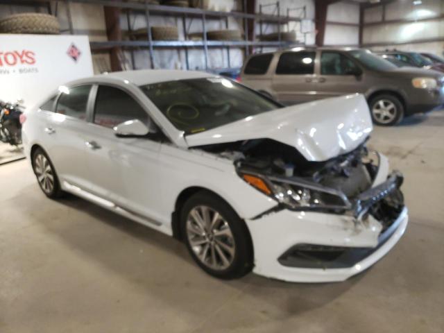 HYUNDAI SONATA SPO 2015 5npe34af5fh130911