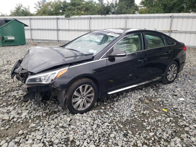 HYUNDAI SONATA SPO 2015 5npe34af5fh136286