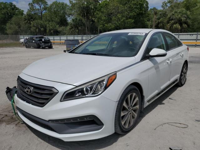 HYUNDAI SONATA SPO 2015 5npe34af5fh136384