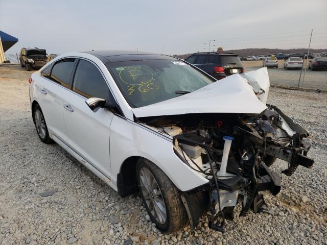 HYUNDAI SONATA SPO 2015 5npe34af5fh137034