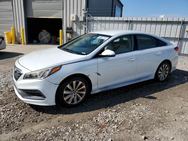 HYUNDAI SONATA SPO 2016 5npe34af5gh262195