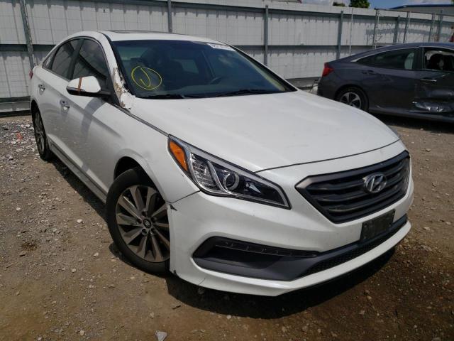 HYUNDAI SONATA SPO 2016 5npe34af5gh305305