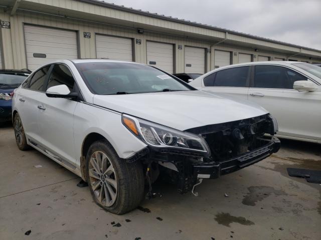 HYUNDAI SONATA SPO 2016 5npe34af5gh314201