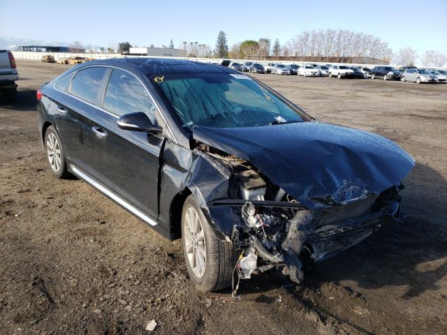 HYUNDAI SONATA SPO 2016 5npe34af5gh320144