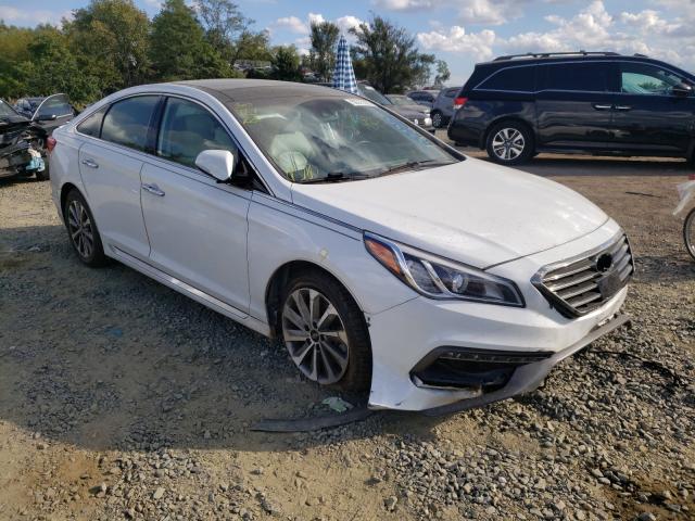 HYUNDAI SONATA SPO 2016 5npe34af5gh351927