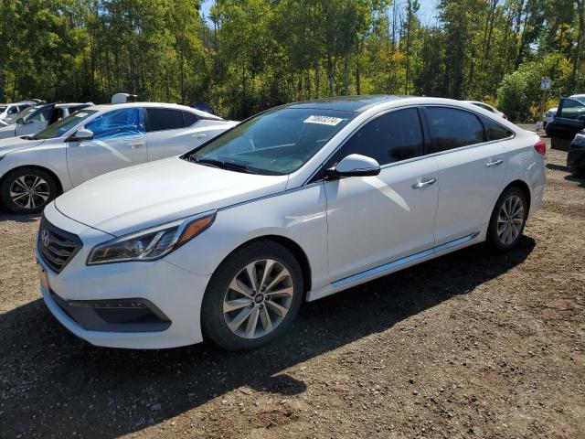 HYUNDAI SONATA SPO 2016 5npe34af5gh371384