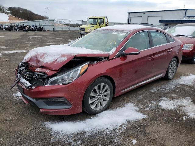 HYUNDAI SONATA SPO 2016 5npe34af5gh391828