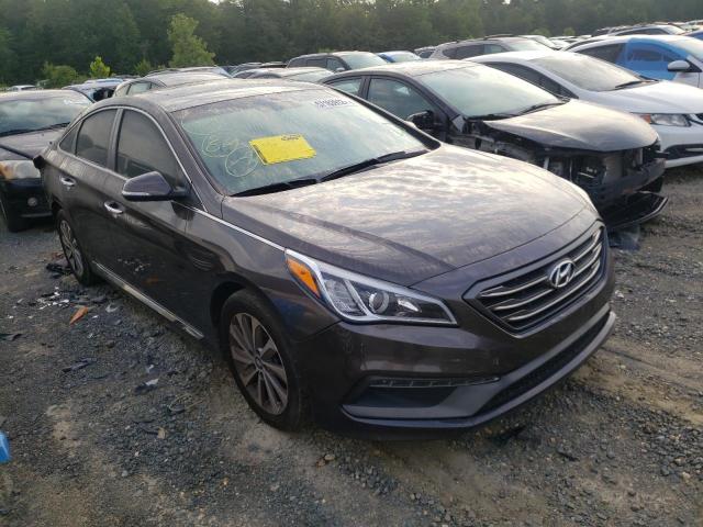 HYUNDAI SONATA SPO 2016 5npe34af5gh419059