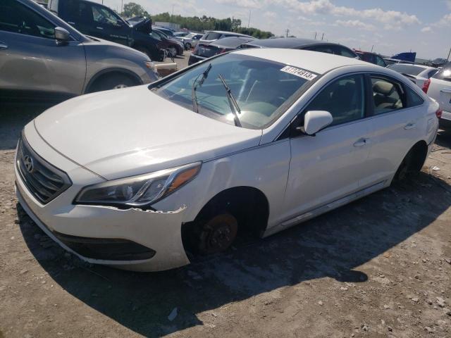 HYUNDAI SONATA SPO 2016 5npe34af5gh423838