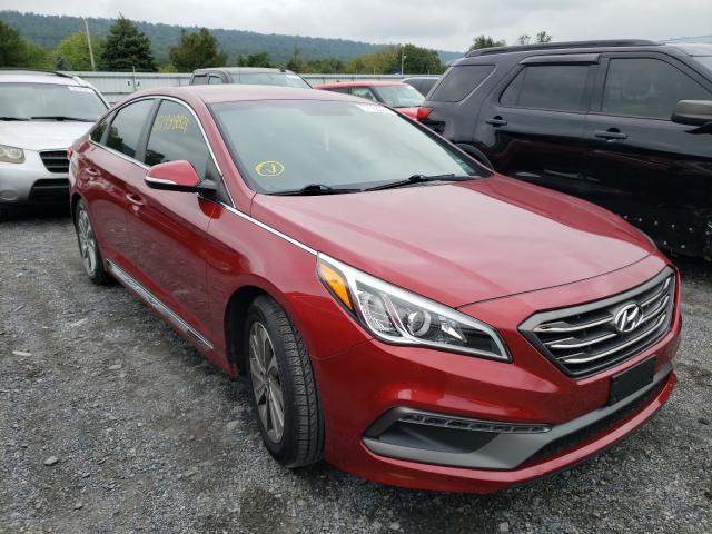 HYUNDAI SONATA SPO 2016 5npe34af5gh433141